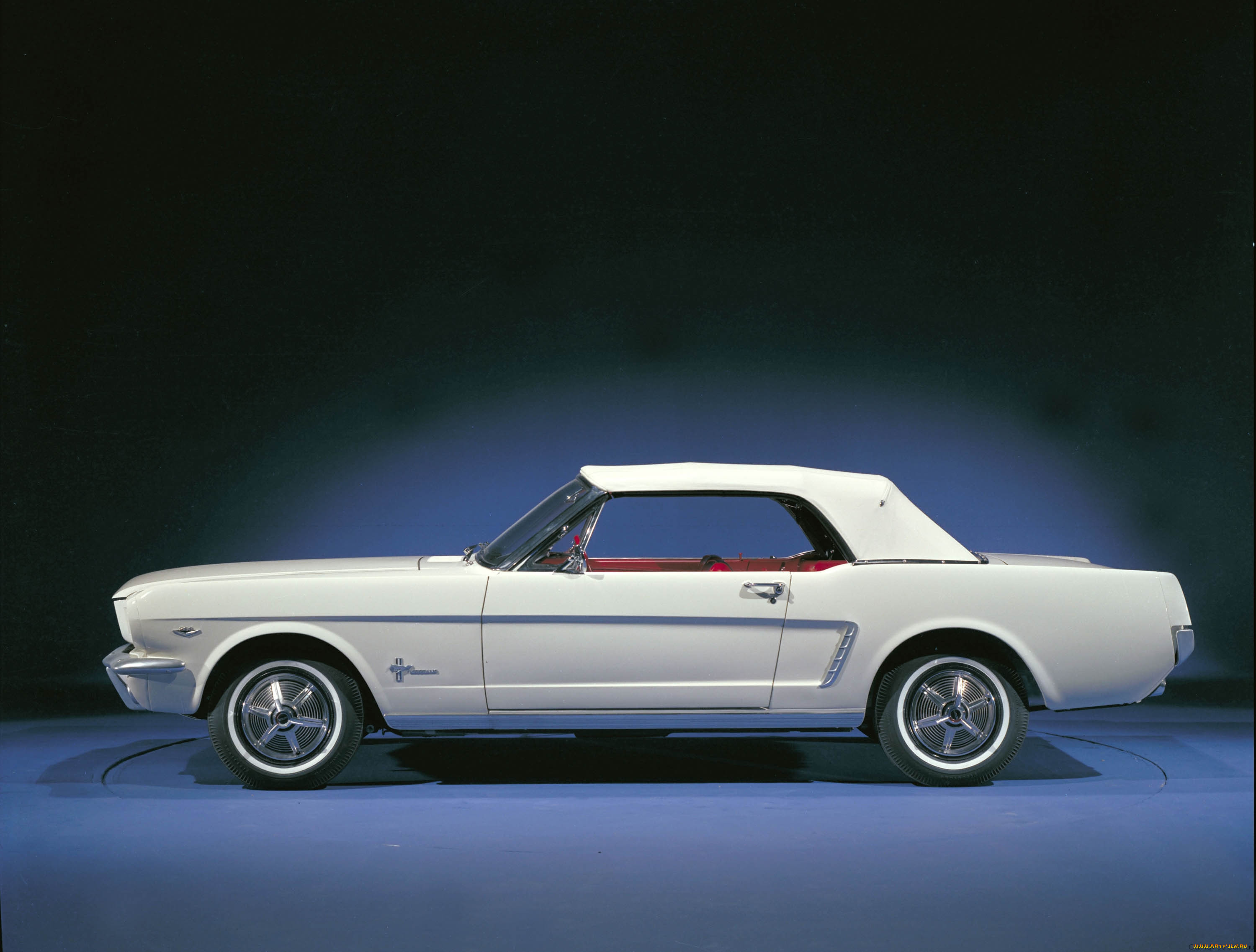 , mustang